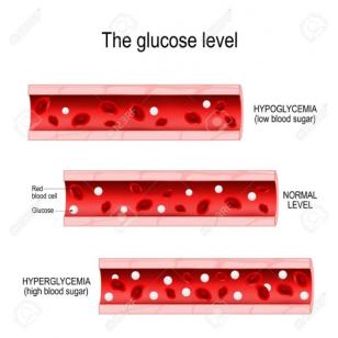 111995415-glucose-dans-le-vaisseau-sanguin-niveau-normal-hyperglycemie-taux-eleve-de-sucre-dans-le-sang-hypogl.jpg
